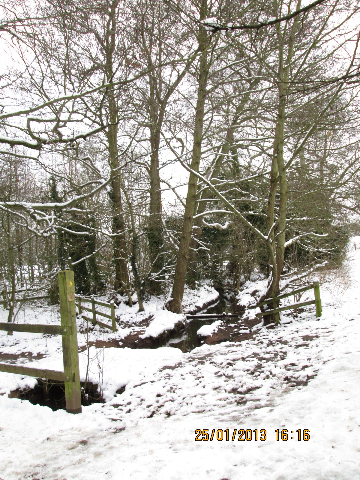 North Brook in the snow